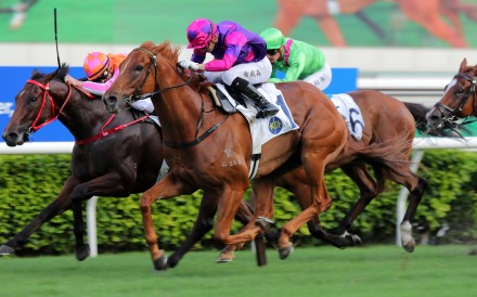 Ching salutes under Lyle Hewitson at Sha Tin in May. Photo: Kenneth Chan