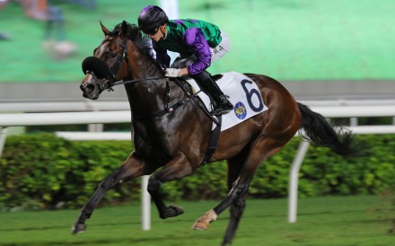 Flaming Rabbit salutes at Sha Tin on July 3. Photo: Kenneth Chan