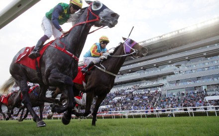 The Jockey Club’s turnover from horse racing stood at HK$140.4 billion, almost matching the amount earned in the 2021-22 financial year. Photo: Kenneth Chan.