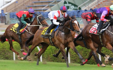 Australian import Sports Legend trials over 1,000m at Sha Tin on September 26. Photo: Kenneth Chan