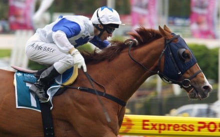 Brett Prebble rides Cape Of Good Hope to win the Group One Australia Stakes (1,200m) at Moonee Valley in 2005. Photo: Darrin Braybrook/Sunday Herald Sun