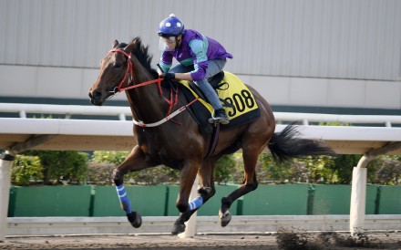Dream Winner coasts to victory under Vincent Ho in a recent trial. Photo: Kenneth Chan