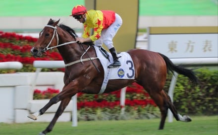 California Spangle wins the Group Two Sha Tin Trophy (1,600m) 12 months ago. Photo: Kenneth Chan