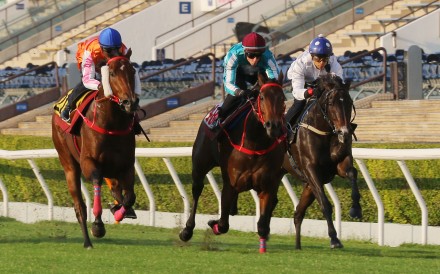 Golden Sixty (right) and Romantic Warrior (centre) prepare for HKIR in a 1,600m turf trial at Sha Tin on Tuesday morning. Photo: Kenneth Chan