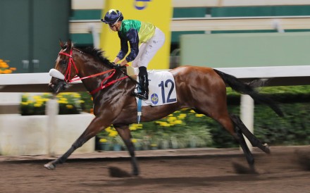 Youthful Deal salutes at Sha Tin in June. Photos: Kenneth Chan