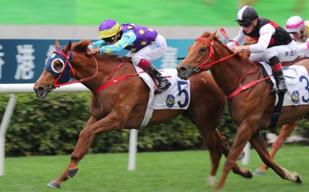 Illuminous records a debut victory over 1,200m at Sha Tin earlier this month. Photo: Kenneth Chan