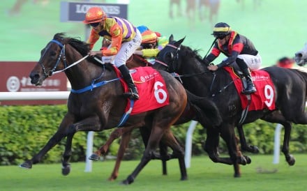 Straight Arron is bound for the Dubai World Cup meeting next month. Photos: Kenneth Chan