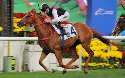 Young Champion salutes at Sha Tin last month. Photos: Kenneth Chan