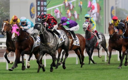 The field thunders down the home straight at Sha Tin on Saturday. Photos: Kenneth Chan