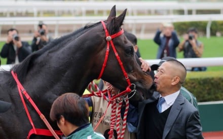 Danny Shum greets Victor The Winner after January’s Group One Centenary Sprint Cup (1,200m) success. Photo: Kenneth Chan