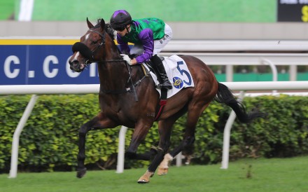 Lyle Hewitson guides Flaming Rabbit to victory at Sha Tin on Sunday. Photos: Kenneth Chan