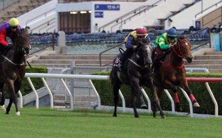 Little Brose (second from right) wins his latest trial at Sha Tin under Hugh Bowman. Photos: Kenneth Chan