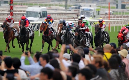 A horse race at Sha Tin on April 20. The fractional horse ownership or investment model has been in robust operation in Japan, Australia, the United Kingdom and the United States, and could be considered for Hong Kong. Photo: Kenneth Chan.