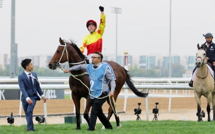 Brenton Avdulla and California Spangle reunite in the Chairman’s Sprint Prize after their Al Quoz Sprint win in Dubai last month. Photos: Kenneth Chan