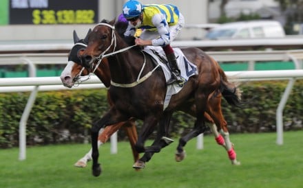 Five G Patch wins for Hugh Bowman at Sha Tin in January last year. He chases a breakthrough win at the same track on Sunday. Photos: Kenneth Chan