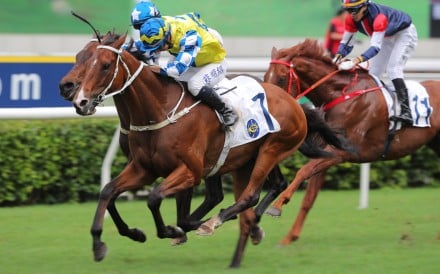 La City Blanche (outside) guns down stablemate Five G Patch to win the Queen Mother Memorial Cup at Sha Tin. Photos: Kenneth Chan