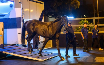 Rebel’s Romance arrives at Sha Tin on Saturday night. Photo: HKJC