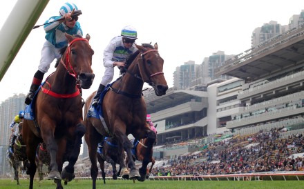 Voyage Bubble (right) is narrowly denied by Romantic Warrior in February’s Gold Cup. Photos: Kenneth Chan