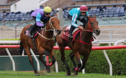 Stunning Peach (left) finishes second to Romantic Warrior in a Sha Tin trial in April. Photos: Kenneth Chan