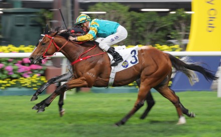 Moments In Time passes the Happy Valley winning post for a second victory under Zac Purton. Photos: Kenneth Chan