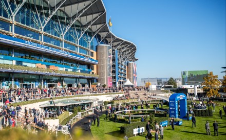 Ascot racecourse comes to life this week. Photo: Handout
