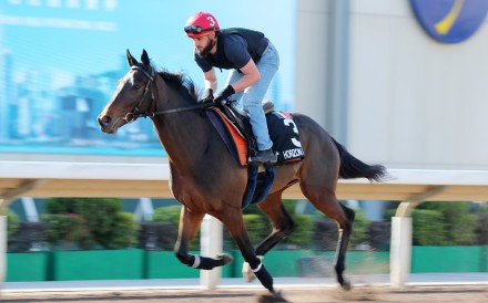 Horizon Dore works at Sha Tin in the lead up to December’s Hong Kong Cup. Photo: Kenneth Chan