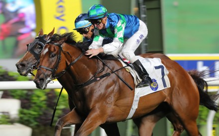 Copartner Prance passes the Sha Tin winning post for his fifth straight win earlier this month Photos: Kenneth Chan