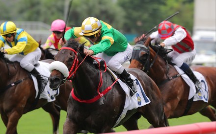 Bottomuptogether records his second win at Sha Tin last month. Photo: Kenneth Chan