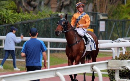 Global Harmony refuses to leave the gates for a second time at Sha Tin. Photos: Kenneth Chan
