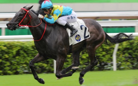 Victor The Winner takes out last season’s Class One HKSAR Chief Executive’s Cup (1,200m). Photo: Kenneth Chan