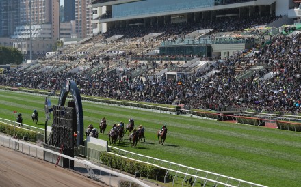 Hong Kong racing is popular in illegal markets. Photos: Kenneth Chan