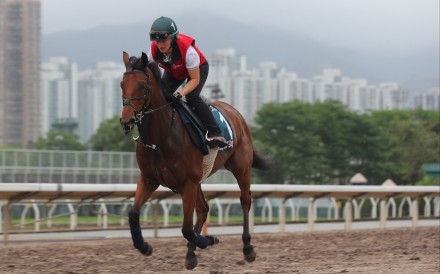 Dubai Honour gallops on the all weather track at Sha Tin in April. Photo: Kenneth Chan