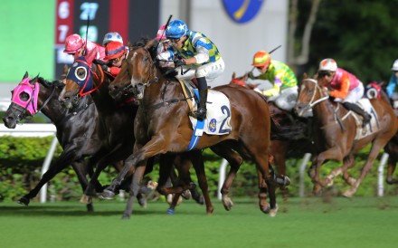 The exciting Galaxy Patch is expected to be one of the stars of the 2024-25 Hong Kong season. Photos: Kenneth Chan