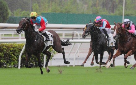 Ka Ying Rising (left) brushes aside his rivals in Sunday’s Chief Executive’s Cup at Sha Tin. Photo: Kenneth Chan