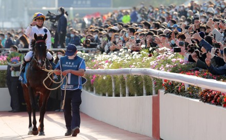 Golden Sixty gets a hero’s welcome from the Sha Tin crowd. Photo: Kenneth Chan