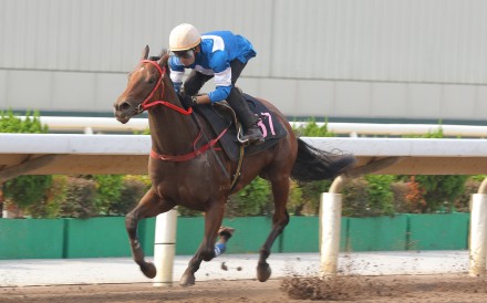 Karis Teetan on Lucky Impact in a Sha Tin dirt trial on September 3. Photos: Kenneth Chan