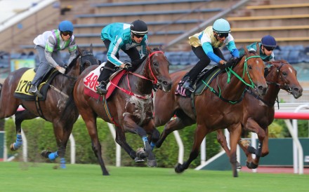 Romantic Warrior (second from left) runs a close second to Wonderstar in a Sha Tin trial. Photos: Kenneth Chan