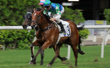 Copartner Prance makes it six on the bounce at Happy Valley in June. Photos: Kenneth Chan