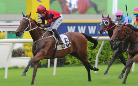 The Golden Scenery snares Sunday’s Group Three Celebration Cup (1,400m) at Sha Tin. Photos: Kenneth Chan