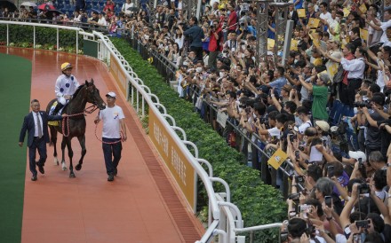 Golden Sixty bids farewell at Sha Tin on Sunday. Photos: May Tse and Kenneth Chan