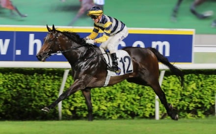 Packing Hermod bolts in at Sha Tin in July under Zac Purton. Photos: Kenneth Chan