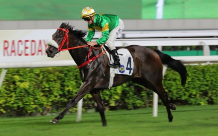 Bottomuptogether bids for a fourth straight win at Sha Tin on Saturday. Photos: Kenneth Chan