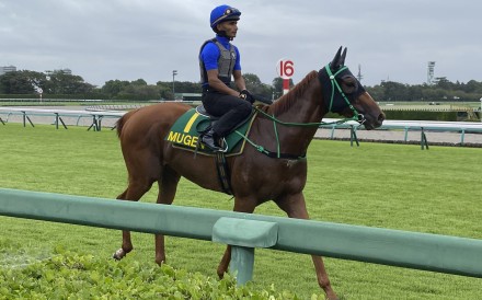 Karis Teetan on Mugen at Nakayama racecourse. Photo: SCMP