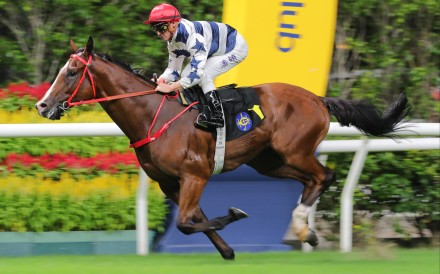 Packing Power makes it two from two at Happy Valley. Photos: Kenneth Chan