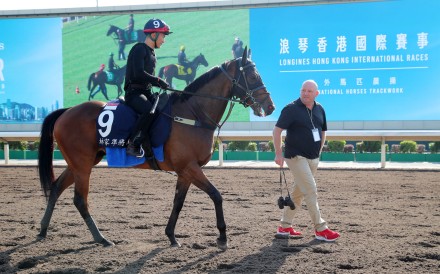 Trainer Daniel Meagher looks over Lim’s Kosciuszko before last year’s Hong Kong Mile. Photo: Kenneth Chan