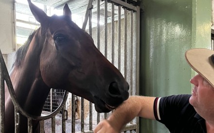 Daniel Meagher, an Australian horse trainer, and Lim’s Kosciuszko, a horse from Lim’s Stables. Photo: Jean Iau