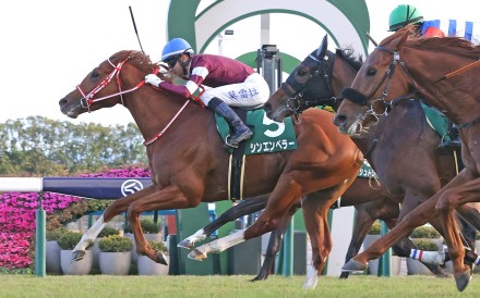 Shin Emperor wins on home soil last year. Photo: JRA