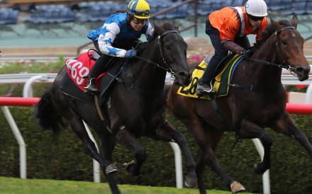 Ivy Lam (centre) at the Sha Tin trials. Photo: Kenneth Chan