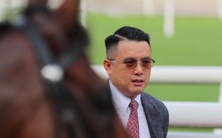 Trainer Pierre Ng has high hopes for Galaxy Patch. Photos: Kenneth Chan