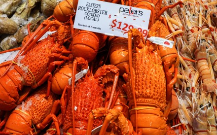 Cooked Eastern Rock Lobster is displayed at Sydney Fish Markets in December 2023. China’s trade ban on Australian lobsters is to end after more than three years. Photo: Getty Images